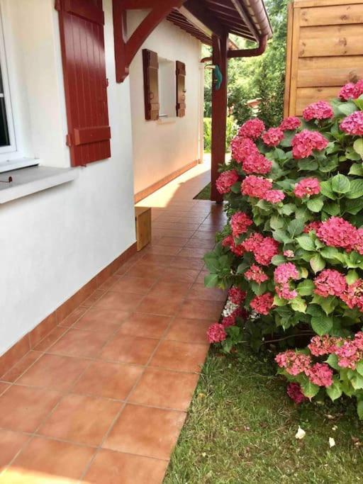 1Km Plage, Agreable Maison 6 Pers Classee 3* Андай Экстерьер фото